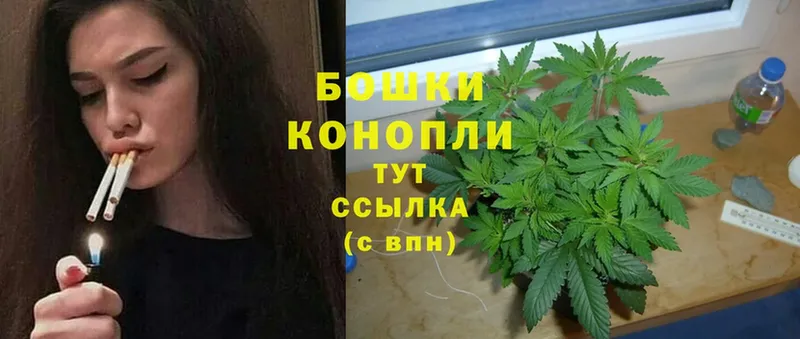 Бошки Шишки THC 21%  Алдан 